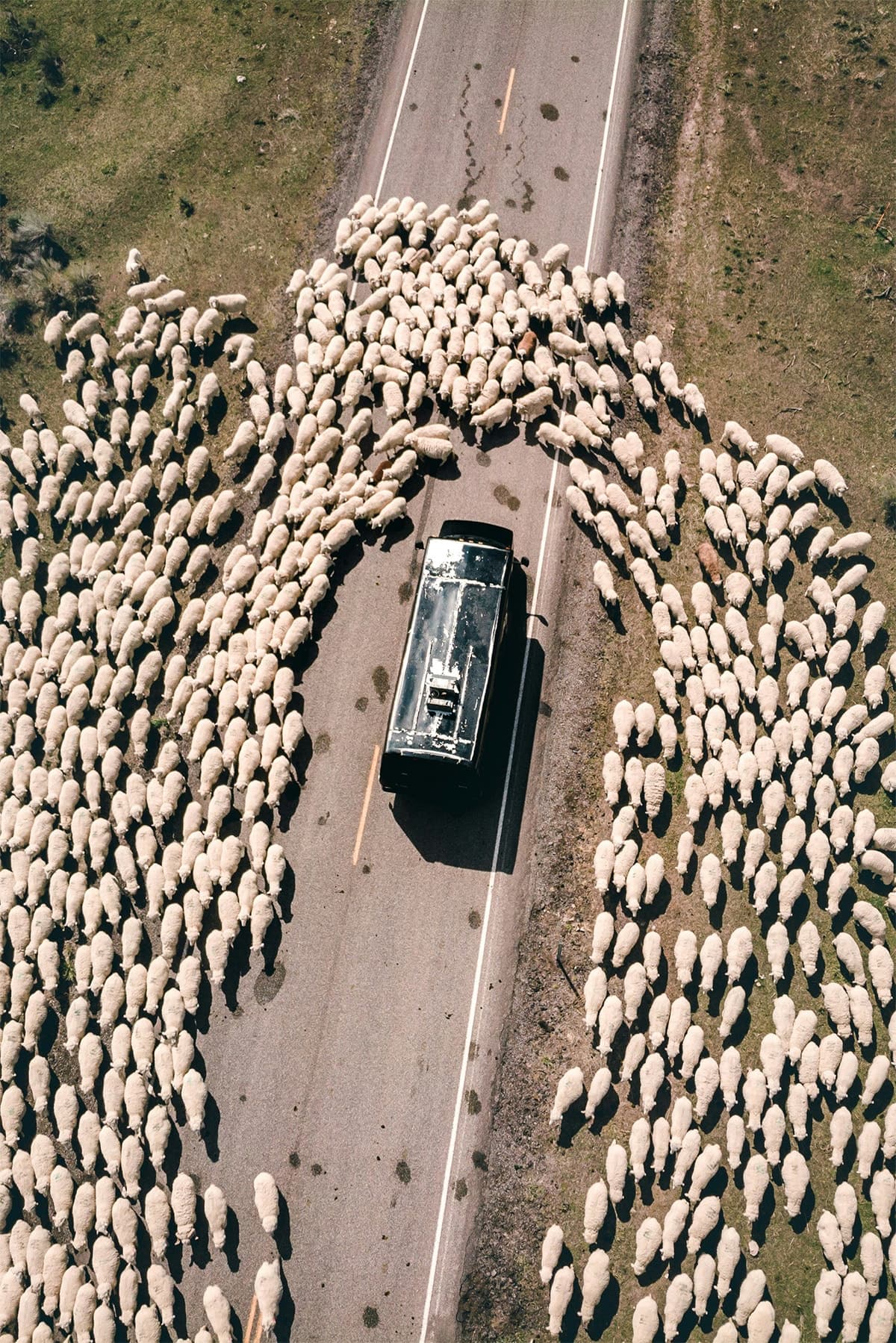 An ordinary popular delusion